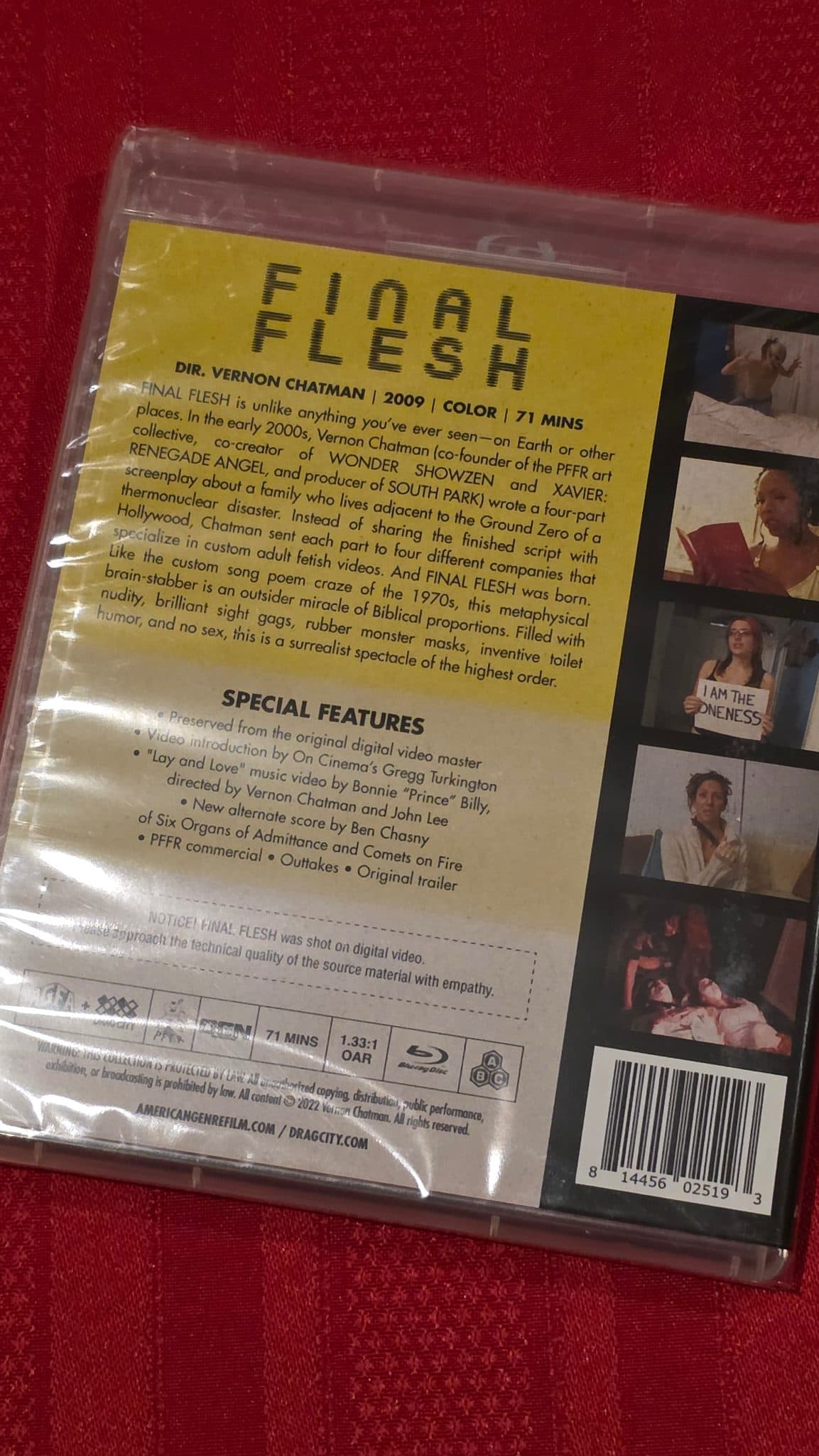 Final Flesh — actual copy 2