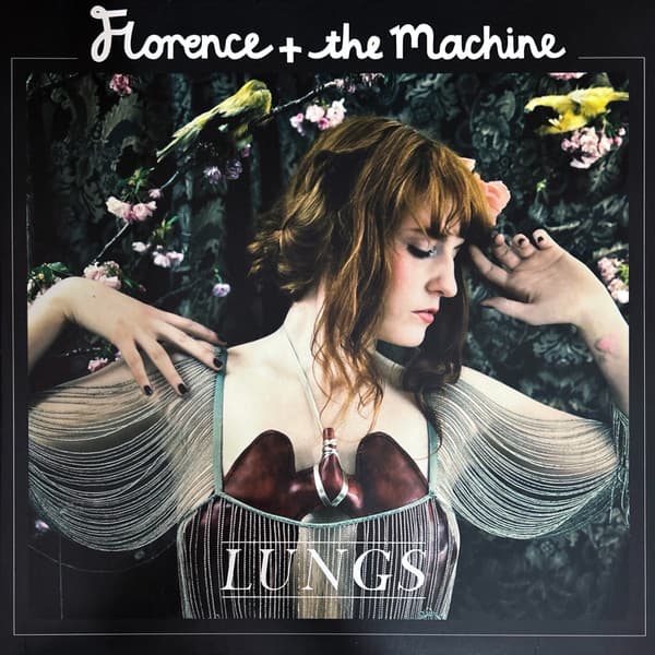 Lungs